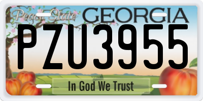 GA license plate PZU3955