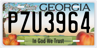 GA license plate PZU3964