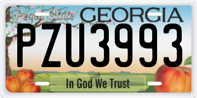 GA license plate PZU3993