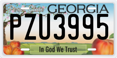 GA license plate PZU3995
