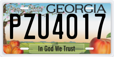 GA license plate PZU4017