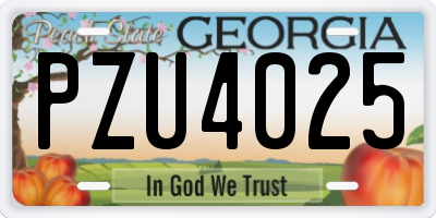 GA license plate PZU4025