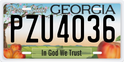 GA license plate PZU4036