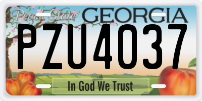GA license plate PZU4037