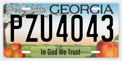 GA license plate PZU4043