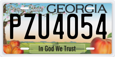 GA license plate PZU4054