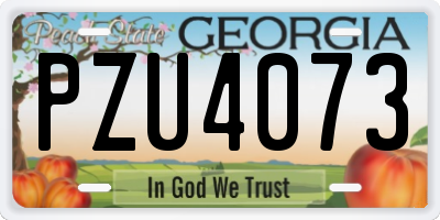 GA license plate PZU4073