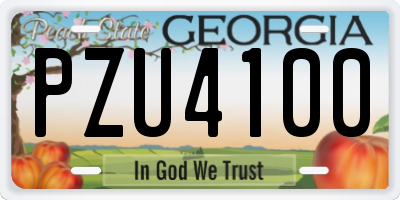 GA license plate PZU4100