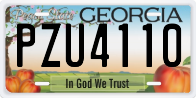 GA license plate PZU4110