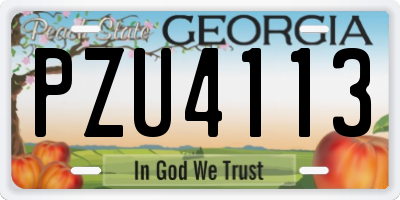GA license plate PZU4113