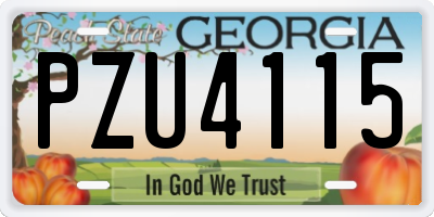 GA license plate PZU4115