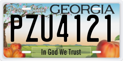 GA license plate PZU4121