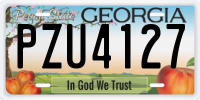 GA license plate PZU4127
