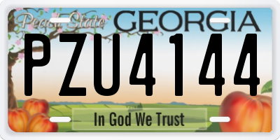 GA license plate PZU4144