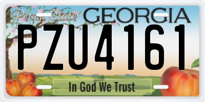 GA license plate PZU4161