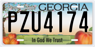 GA license plate PZU4174