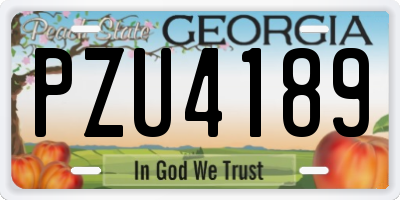 GA license plate PZU4189