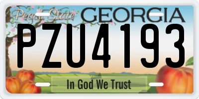 GA license plate PZU4193