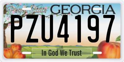 GA license plate PZU4197