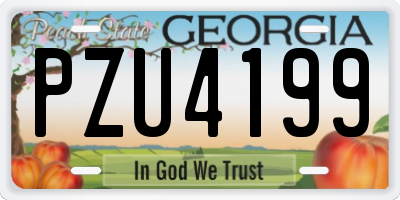 GA license plate PZU4199