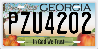 GA license plate PZU4202