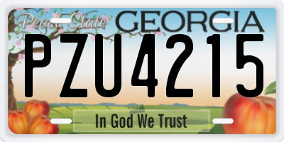 GA license plate PZU4215