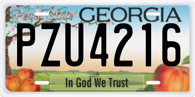 GA license plate PZU4216