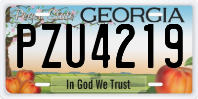 GA license plate PZU4219