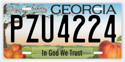 GA license plate PZU4224