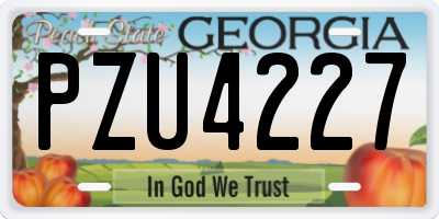 GA license plate PZU4227