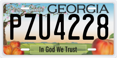 GA license plate PZU4228