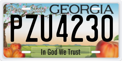 GA license plate PZU4230
