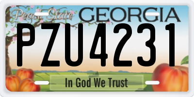 GA license plate PZU4231