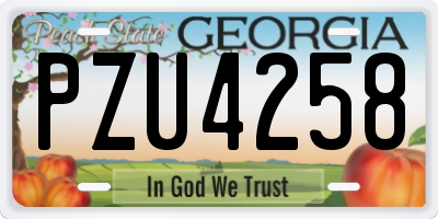 GA license plate PZU4258