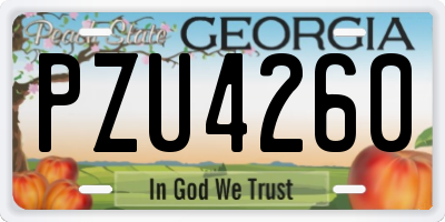 GA license plate PZU4260