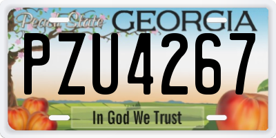 GA license plate PZU4267