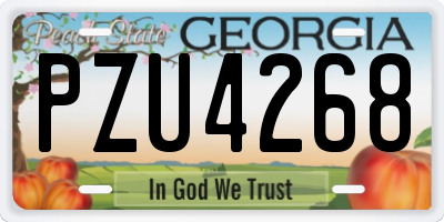 GA license plate PZU4268