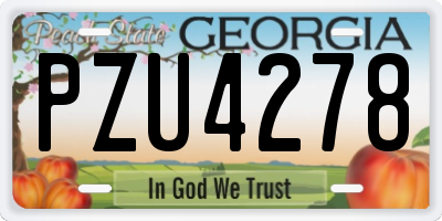 GA license plate PZU4278
