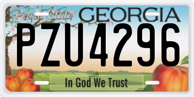 GA license plate PZU4296