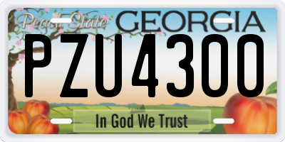 GA license plate PZU4300
