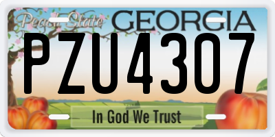 GA license plate PZU4307