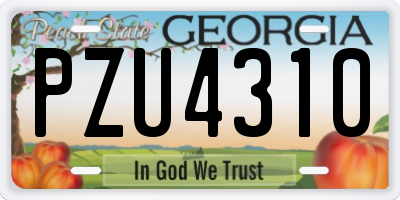 GA license plate PZU4310