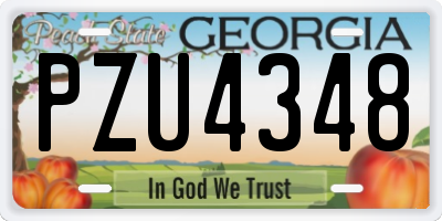 GA license plate PZU4348