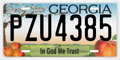 GA license plate PZU4385
