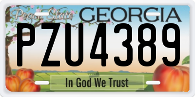GA license plate PZU4389