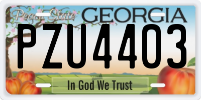 GA license plate PZU4403