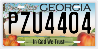 GA license plate PZU4404