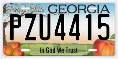 GA license plate PZU4415