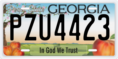 GA license plate PZU4423
