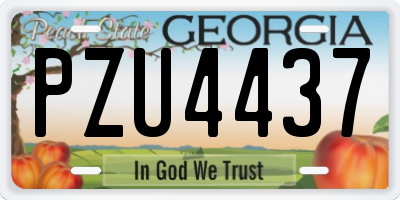 GA license plate PZU4437